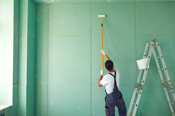 Best Basement Mold Removal  in Hartford, IL