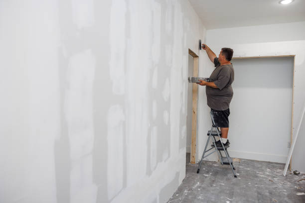 Best Mold Odor Removal Services  in Hartford, IL