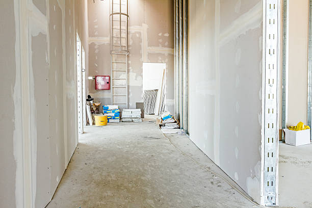 Best Mold Removal for HVAC Installations  in Hartford, IL